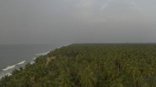 Link to Video