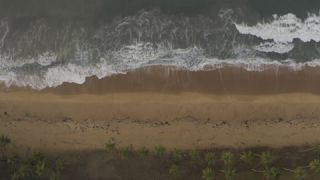 Link to Video