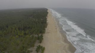 Link to Video