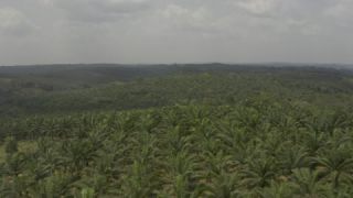Link to Video