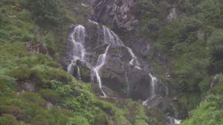 Link to Video