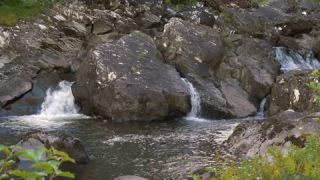 Link to Video