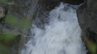 Link to Video