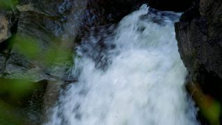 Link to Video