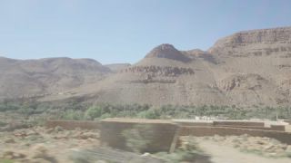 Link to Video