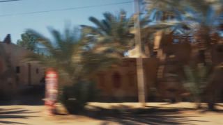 Link to Video
