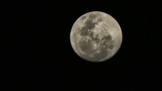 Link to Video