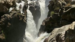 Link to Video