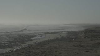 Link to Video