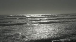 Link to Video