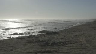 Link to Video
