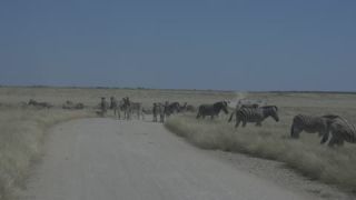 Link to Video