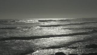 Link to Video