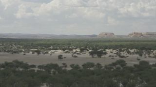 Link to Video