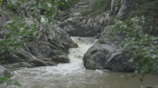 Link to Video