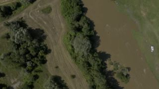 Link to Video