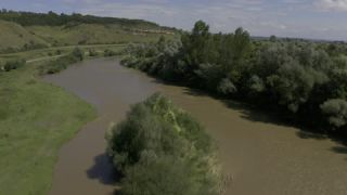Link to Video
