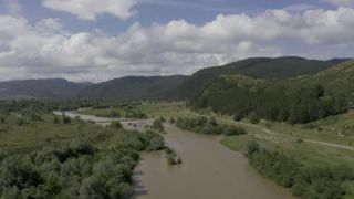 Link to Video
