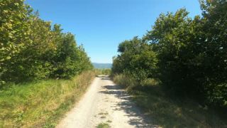 Link to Video