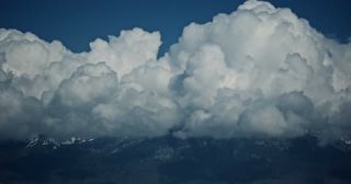 Link to Video