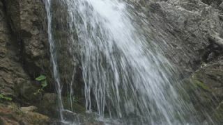 Link to Video