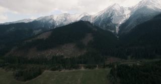 Link to Video