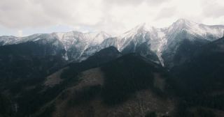 Link to Video