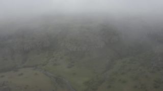 Link to Video