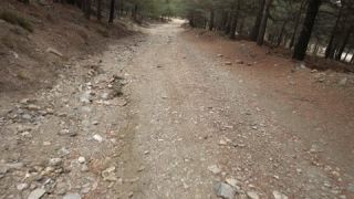 Link to Video