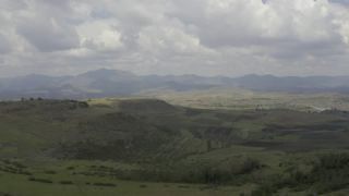 Link to Video
