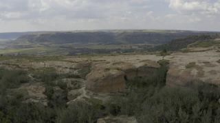 Link to Video