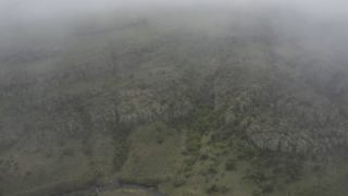 Link to Video
