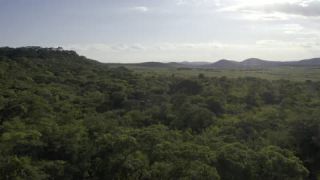 Link to Video