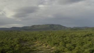 Link to Video