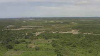 Link to Video