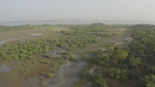Link to Video