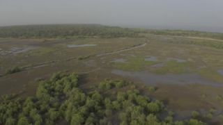 Link to Video