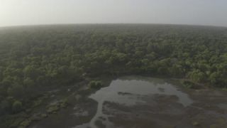 Link to Video