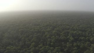 Link to Video