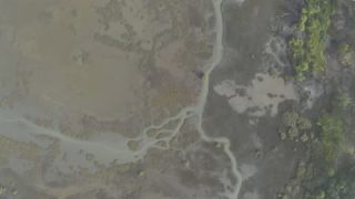Link to Video