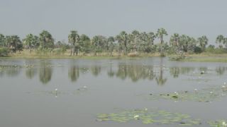 Link to Video