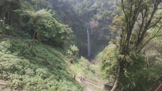 Link to Video