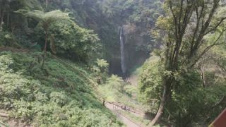 Link to Video