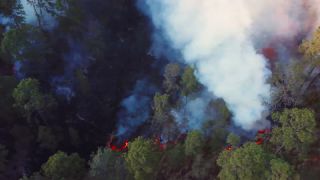 Link to Video | landscape, forest fire, smoke, environmental degradation, destruction, El Guarda, El Guarda, color, 4K resolution, 2018, environmental disaster, forest, aerial shot, day, nature, Mexico