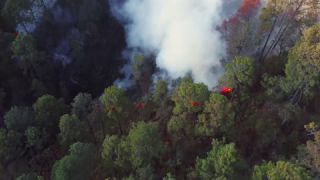 Link to Video | landscape, forest fire, smoke, environmental degradation, destruction, El Guarda, El Guarda, color, 4K resolution, 2018, environmental disaster, forest, aerial shot, day, nature, Mexico