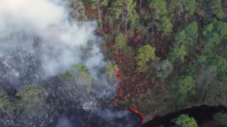 Link to Video | landscape, forest fire, smoke, environmental degradation, destruction, El Guarda, El Guarda, color, 4K resolution, 2018, environmental disaster, forest, aerial shot, day, nature, Mexico