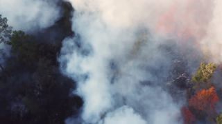 Link to Video | landscape, forest fire, smoke, environmental degradation, destruction, El Guarda, El Guarda, color, 4K resolution, 2018, environmental disaster, forest, aerial shot, day, nature, Mexico
