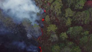Link to Video | landscape, forest fire, smoke, environmental degradation, destruction, El Guarda, El Guarda, color, 4K resolution, 2018, environmental disaster, forest, aerial shot, day, nature, Mexico
