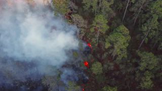 Link to Video | landscape, forest fire, smoke, environmental degradation, destruction, El Guarda, El Guarda, color, 4K resolution, 2018, environmental disaster, forest, aerial shot, day, nature, Mexico