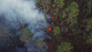 Link to Video | landscape, forest fire, smoke, environmental degradation, destruction, El Guarda, El Guarda, color, 4K resolution, 2018, environmental disaster, forest, aerial shot, day, nature, Mexico